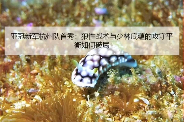 亚冠新军杭州队首秀：狼性战术与少林底蕴的攻守平衡如何破局